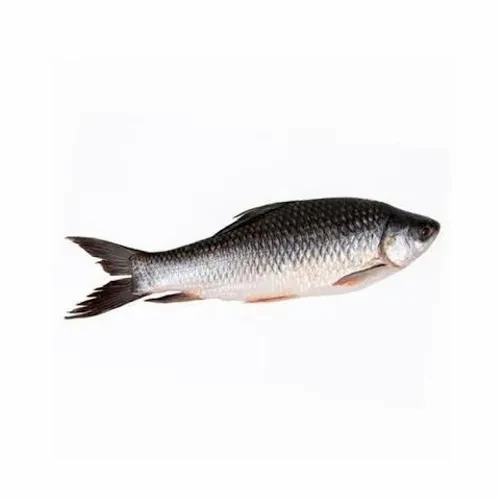 GRASS CARP FISH 1 KG  ( GADDI CHEPA)